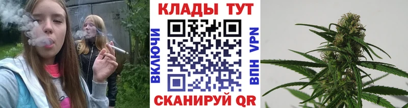 Виды наркотиков купить Пудож ГАШИШ  Бошки Шишки  COCAIN  МЕФ 