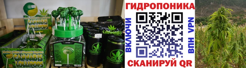 MEGA зеркало  наркошоп  Пудож  Canna-Cookies конопля 