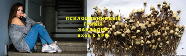 спиды Балахна
