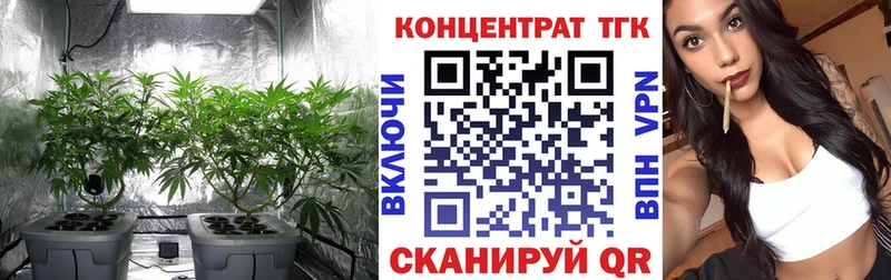 Дистиллят ТГК THC oil  цены наркотик  Пудож 