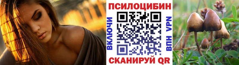 купить наркоту  Пудож  Галлюциногенные грибы ЛСД 